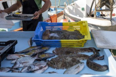 Günün avı, Cassis, Provence, Fransa 'daki küçük eski limandaki balıkçı pazarında günlük taze balık satışı.