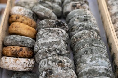 Cassis, Provence, Fransa 'da çiftçi pazarında küflü olgun Fransız keçi peynirleri