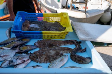Günün avı, Cassis, Provence, Fransa 'daki küçük eski limandaki balıkçı pazarında günlük taze balık satışı.