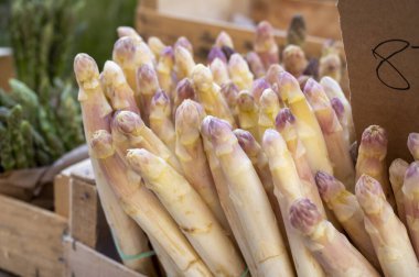 Nisan, Cassis, Fransa 'da Fransız Provencal çiftçi pazarında satılık taze çiğ beyaz kuşkonmaz sebzeleri.