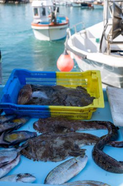 Günün avı, Cassis, Provence, Fransa 'daki küçük eski limandaki balıkçı pazarında günlük taze balık satışı.
