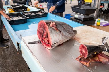 Marsilya, Provence, Fransa 'daki günlük balık pazarında günün avı. Koca kafalı kılıçbalığı..