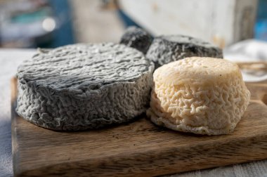 Fransız keçi peyniri crottin ve selles-sur-cher Cassis, Provence, Fransa 'nın limanındaki teknelerde peynir tatma ile servis edilir.