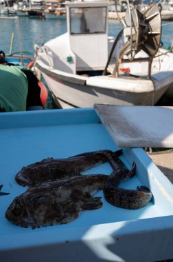 Günün avı, Cassis, Provence, Fransa 'daki küçük eski limandaki balıkçı pazarında günlük taze balık satışı.
