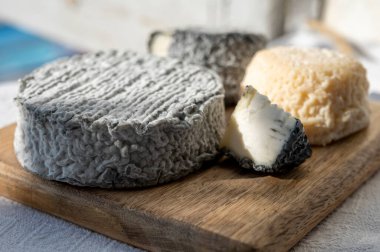 Fransız keçi peyniri crottin ve selles-sur-cher Cassis, Provence, Fransa 'nın limanındaki teknelerde peynir tatma ile servis edilir.