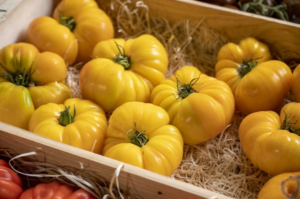 Colorido Francês Maduro Saboroso Tomates Sortimento Mercado Provençal Cassis Provence — Fotografia de Stock