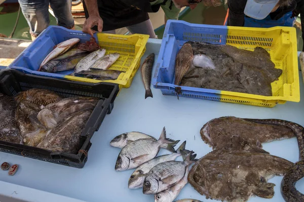 Vangst Van Dag Verse Vis Koop Dagelijkse Buitenvismarkt Kleine Oude — Stockfoto