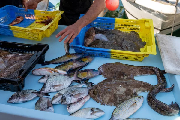 Günün avı, Cassis, Provence, Fransa 'daki küçük eski limandaki balıkçı pazarında günlük taze balık satışı.