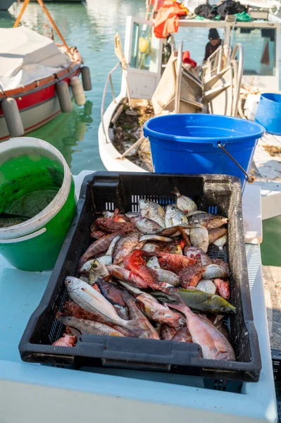 Vangst Van Dag Verse Vis Koop Dagelijkse Buitenvismarkt Kleine Oude — Stockfoto