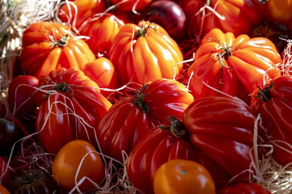 法国普罗旺斯卡西市的普罗旺斯市场上 各种色彩艳丽的法国成熟美味西红柿正在关门 — 图库照片