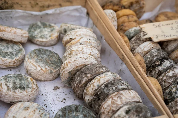 Cassis, Provence, Fransa 'da çiftçi pazarında küflü olgun Fransız keçi peynirleri