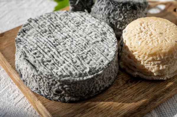 Fransız keçi peyniri crottin ve selles-sur-cher Cassis, Provence, Fransa 'nın limanındaki teknelerde peynir tatma ile servis edilir.