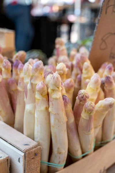 Fresh Raw White Asparagus Vegetables Sale French Provencal Farmers Market — Stock Photo, Image