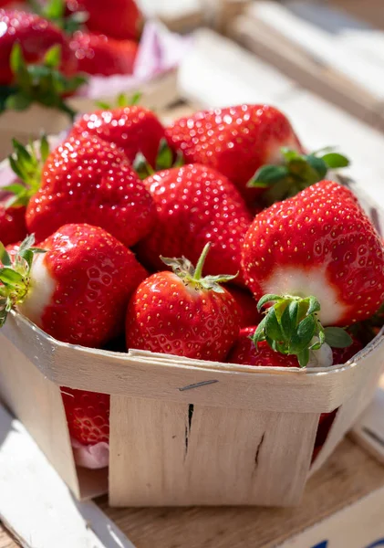Sweet Ripe French Red Strawberries Wooden Boxes Provencal Farmers Market — 스톡 사진