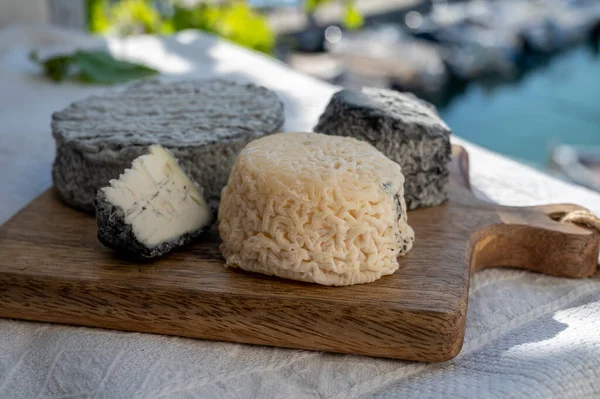 Fransız keçi peyniri crottin ve selles-sur-cher Cassis, Provence, Fransa 'nın limanındaki teknelerde peynir tatma ile servis edilir.