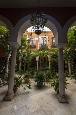 Endülüs tarzı, yeşil bitki ve kemerli avlu, Seville, İspanya 'nın eski bir kasabası.