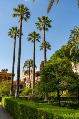 Mudejar tarzında saray yeşili bahçeler. Eski tarihi Endülüs kasabası Seville, İspanya. Unesco sitesi.