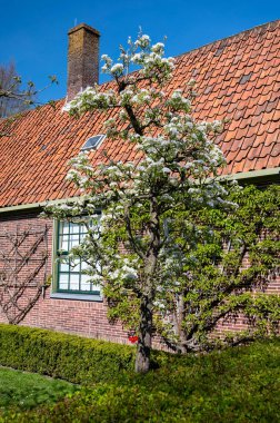 Walking in historical Dutch fisherman's village in North-Holland, Enkhuizen, Netherlands in spring