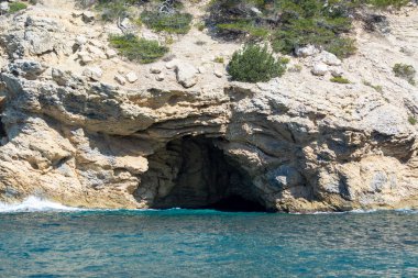Mediterranean pine trees growing on white limestone rocks and cliffs in Calanques national park, Provence, France