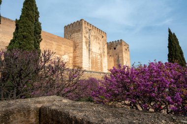 Old walls, gardens and buidings of medieval fortress Alhambra, Granada, Andalusia, Spain