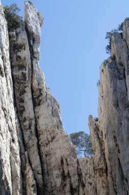 Kireçtaşı kayalıkları ve Cassis yakınlarındaki mavi deniz Provence, Fransa 'daki Calanques Ulusal Parkı' na tekne gezisi.