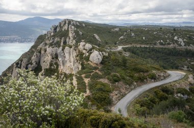 La Ciotat 'tan Cassis' e giden turistik rota D141, mavi deniz manzaralı, kireçtaşı uçurumları ve yeşil çam ormanı, Fransa 'nın Provence kentinde tatil