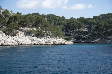 Cassis yakınlarındaki Calanque de Port Pin 'de manzara, Fransa' nın Provence kentindeki Calanques Ulusal Parkı 'na tekne gezisi