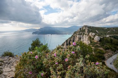 La Ciotat 'tan Cassis' e giden turistik rota D141, mavi deniz manzaralı, kireçtaşı uçurumları ve yeşil çam ormanı, Fransa 'nın Provence kentinde tatil