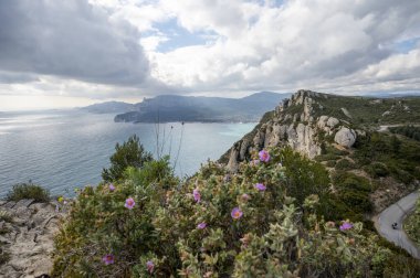 La Ciotat 'tan Cassis' e giden turistik rota D141, mavi deniz manzaralı, kireçtaşı uçurumları ve yeşil çam ormanı, Fransa 'nın Provence kentinde tatil