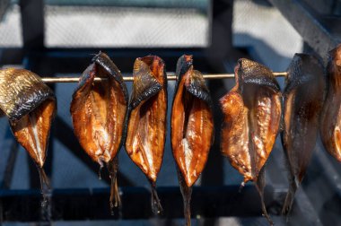 Horth Holland 'daki balıkçıların köyündeki eski, karanlık, geleneksel Hollanda tütsüleme evi. Şişte asılı sıra sıra tütsülenmiş ringa balıkları.