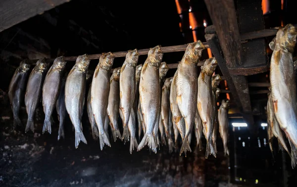 荷兰霍尔特渔民村子里古老而黑暗的荷兰传统烟熏屋 一排排的熏鱼挂在砖瓦屋顶下的绞架上 — 图库照片