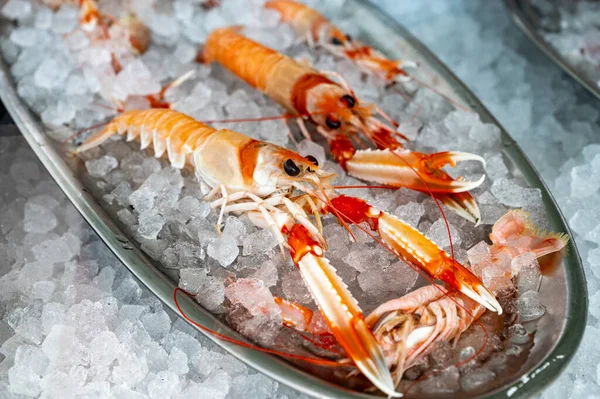 Lagostins Frescos Com Garras Rio Gelo Restaurante — Fotografia de Stock