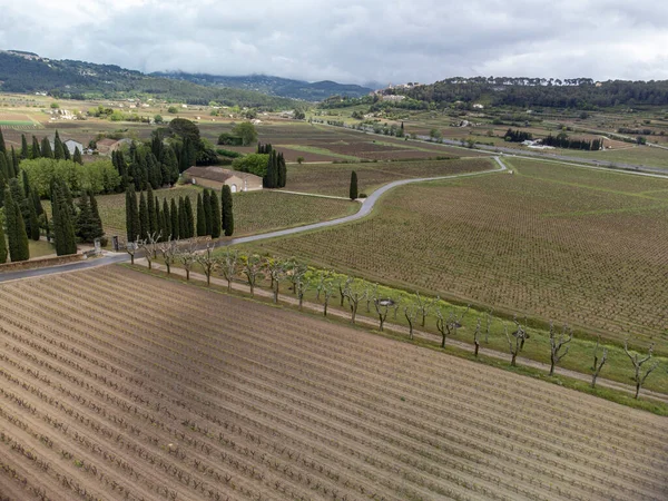 バンドルワイン製造地域 プロヴァンス 春の南フランスのブドウ畑の植物の行の空中パノラマビュー — ストック写真