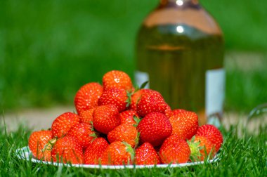 Taze taze, kırmızı organik çilek beyaz tahta üzerinde güneşli bir günde yeşil çimlerin üzerinde servis edilir.