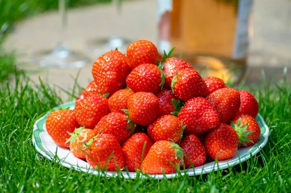 흰색보드에 유기농 딸기는 날푸른 야외에서 먹었습니다 — 스톡 사진