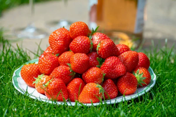 Fresh Ripe Red Sweet Organic Strawberry White Board Served Outdoor — Stock Fotó