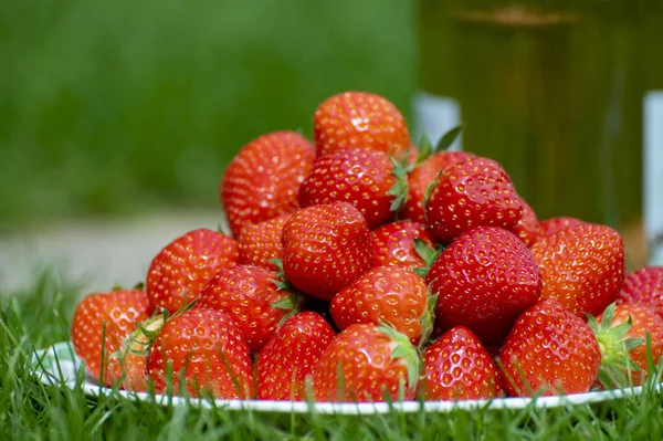 Fresh Ripe Red Sweet Organic Strawberry White Board Served Outdoor — Stock Fotó