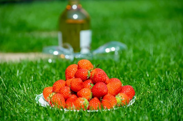 Fresh Ripe Red Sweet Organic Strawberry White Board Served Outdoor — Stockfoto