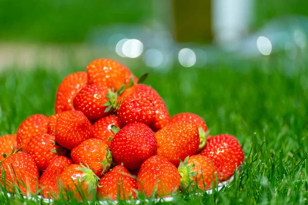 Fresh Ripe Red Sweet Organic Strawberry White Board Served Outdoor — 스톡 사진