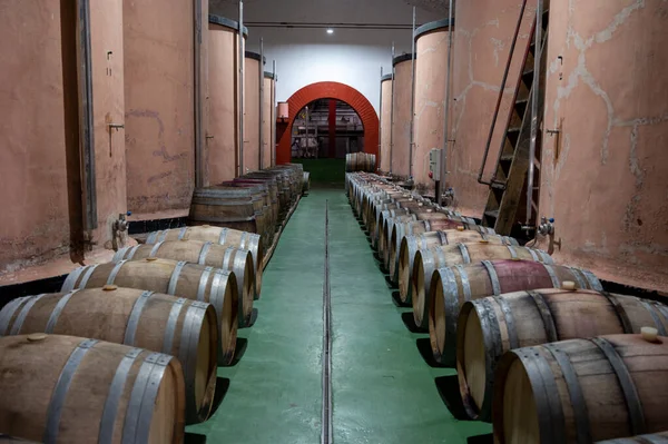 Making Wine Traditional Bodega Steel Tanks Old Wooden Barrels South — Foto de Stock