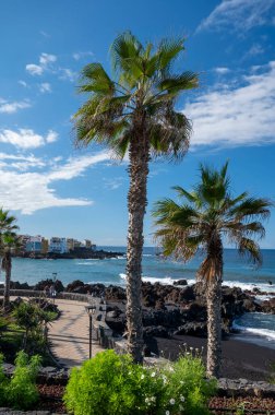 Playa Jardin 'in renkli manzarası, kışın Puerto de la Cruz, Tenerife, Kanarya adalarında palmiye ağaçları ve siyah lav kayaları