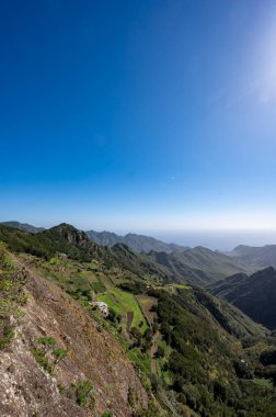 Anaga Ulusal Parkı 'nın yeşil dağlarının panoramik manzarası, Tenerife' nin kuzeyi, Kanarya Adaları, İspanya