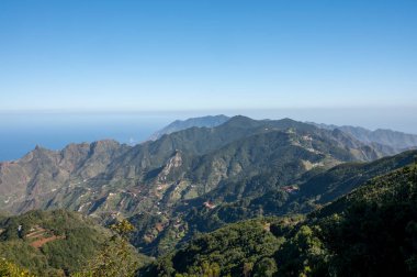Anaga Ulusal Parkı 'nın yeşil dağlarının panoramik manzarası, Tenerife' nin kuzeyi, Kanarya Adaları, İspanya