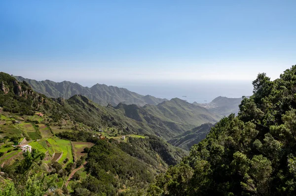 Anaga Ulusal Parkı Nın Yeşil Dağlarının Panoramik Manzarası Tenerife Nin — Stok fotoğraf