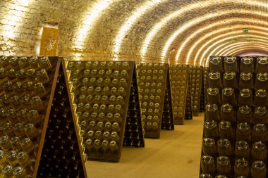 Avusturya, Viyana 'daki yeraltı mahzenlerinde geleneksel yöntemlerle beyaz ve gül şarabı üretimi