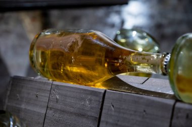 Avusturya, Viyana 'daki yeraltı mahzenlerinde geleneksel yöntemlerle köpüren beyaz ve gül şarabı üretimi. Şişedeki tortu.