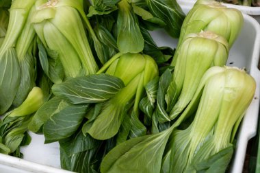 Piyasada satılık taze yeşil Çin lahanası pak choi.
