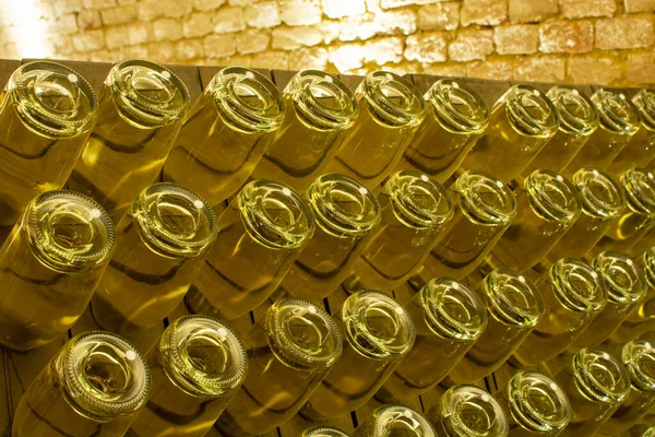 Avusturya Viyana Daki Yeraltı Mahzenlerinde Geleneksel Yöntemlerle Beyaz Gül Şarabı — Stok fotoğraf