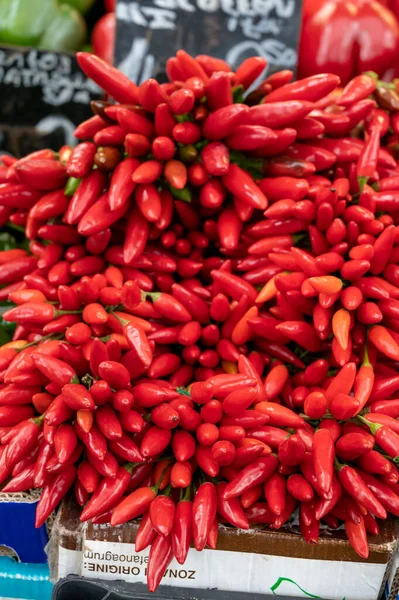 Bunches Many Red Hot Chili Peppers Sale Market — ストック写真