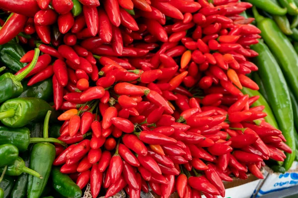 Bunches Many Red Hot Chili Peppers Sale Market — ストック写真